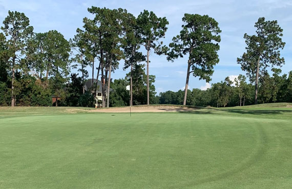 WSCGA